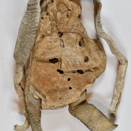 Sello de Jaime I