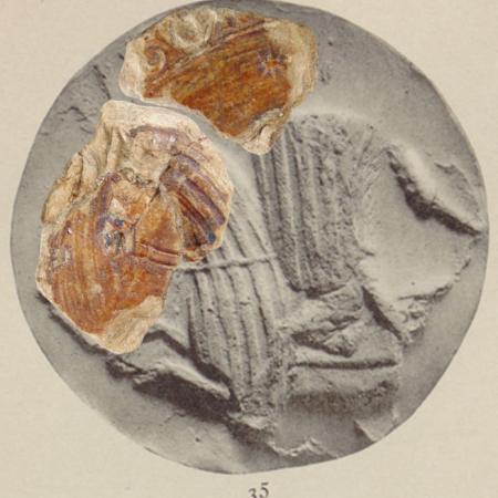 004b